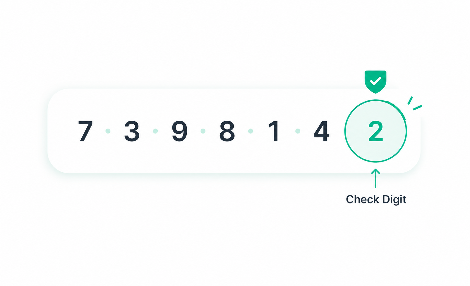What Is the Luhn Algorithm? How Card Numbers Validate